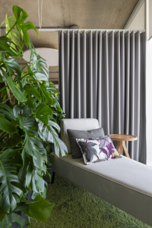 Grey Bask in biophilic setting