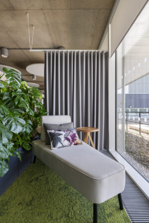 Grey Bask in biophilic setting