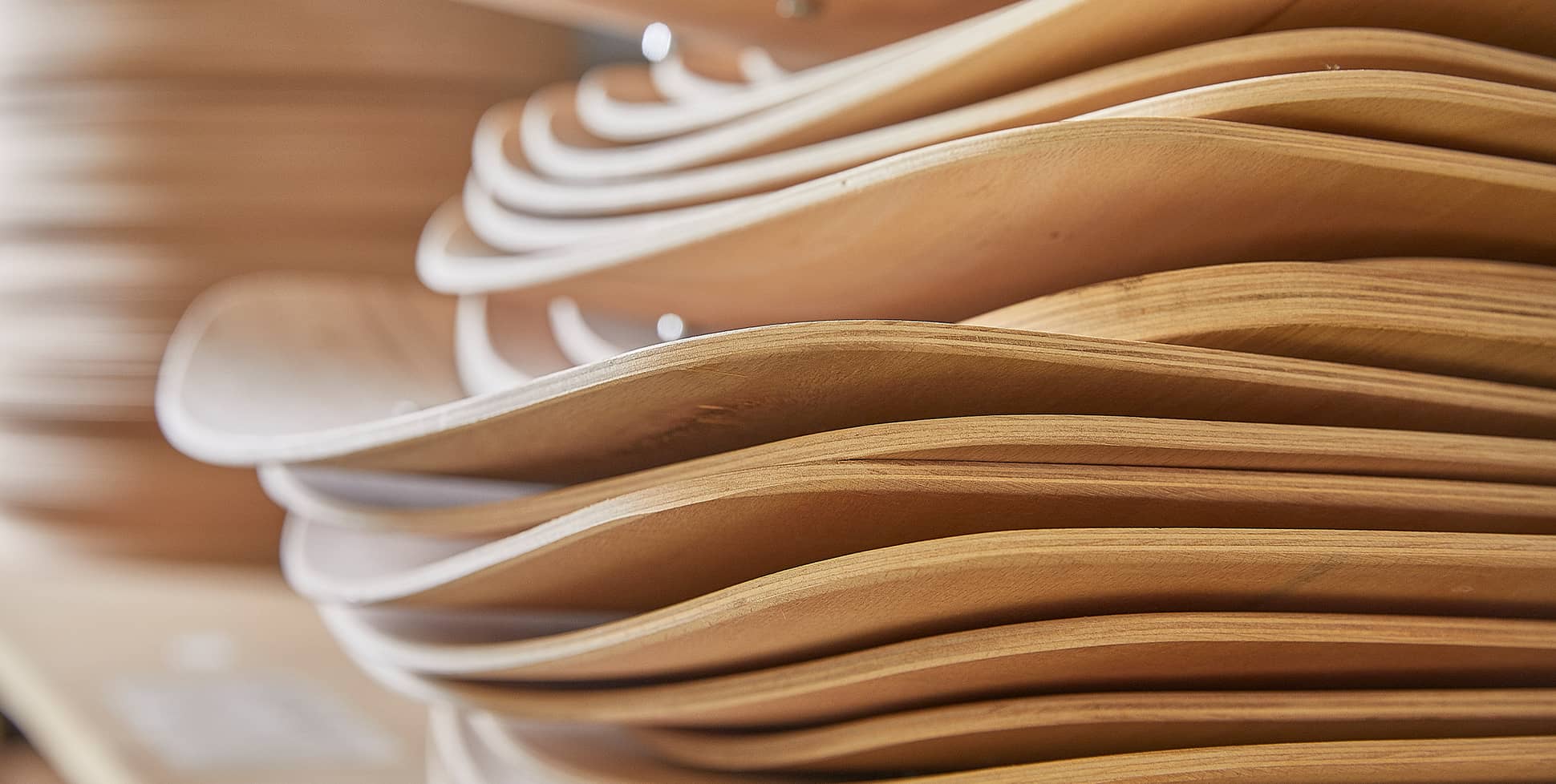 Sustainability image